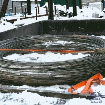 Проволока овальная 0,22х0,3-1-55 ГОСТ 3875-83 купить в Комсомольске-на-Амуре